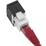 Keystone RJ45 hembra a TB110 Cat.6 UTP sin herramientas - RD06100 - 03